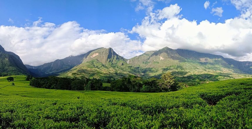 Ruo Ndiza Cover Page-2